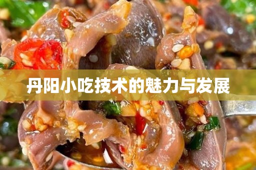 丹阳小吃技术的魅力与发展